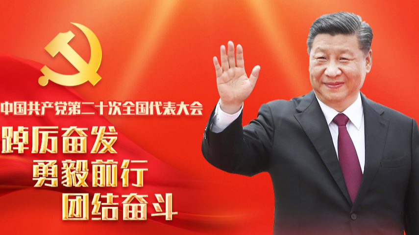 從1到9，學(xué)習(xí)黨的二十大報告