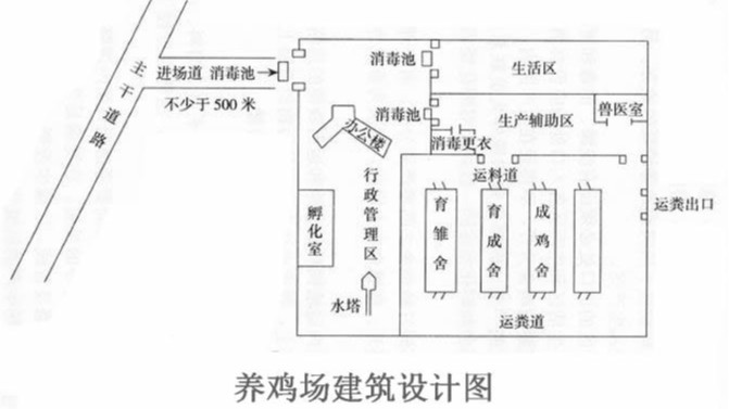 蛋雞養(yǎng)殖養(yǎng)雞場(chǎng)選址的三個(gè)原則和六大關(guān)鍵點(diǎn)