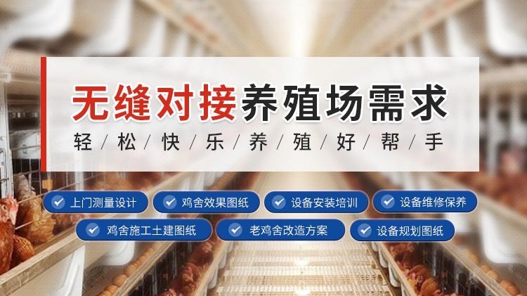 蛋雞為何要補(bǔ)光？要怎么補(bǔ)？我來(lái)教你這樣做
