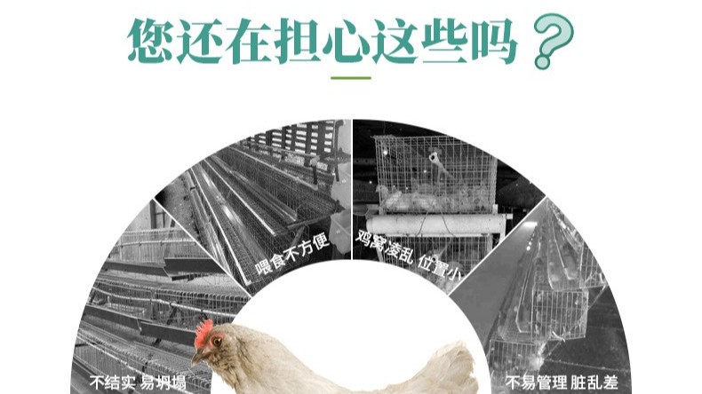 遠(yuǎn)卓農(nóng)牧層疊式蛋雞籠養(yǎng)飼養(yǎng)管理要點