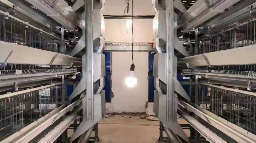 遠卓農(nóng)牧蛋雞自動化養(yǎng)殖畜禽場的工程工藝設計