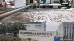 市、县构成的专案组已进驻企业