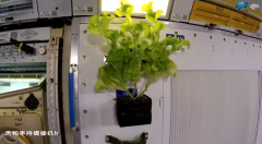 <strong>2023年6月和8月正式启用</strong>